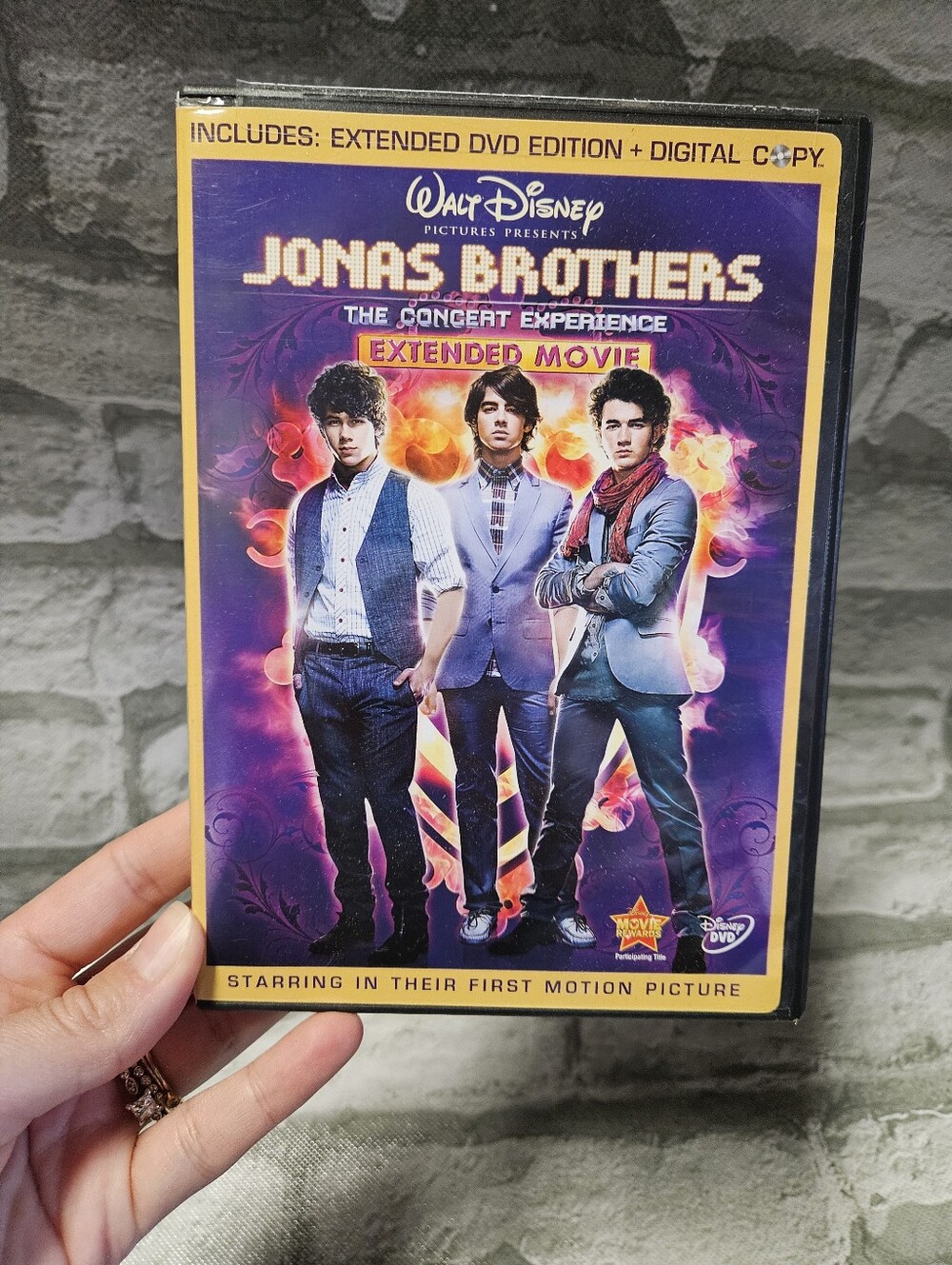 Jonas Brothers Concert Experience Dual DVD Set